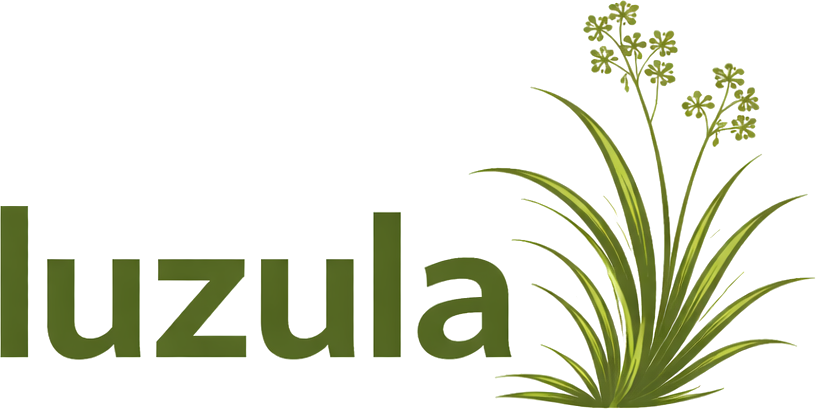 Luzula